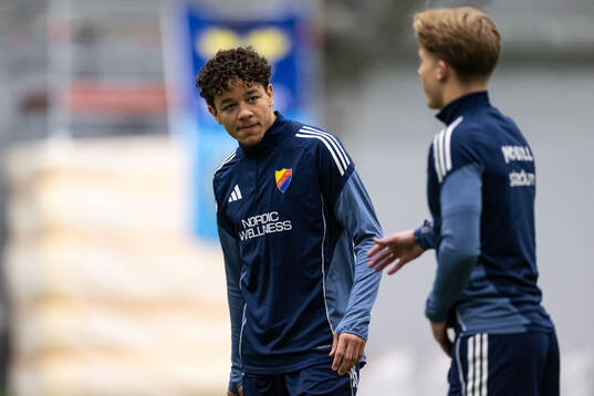 Mikael Anderson