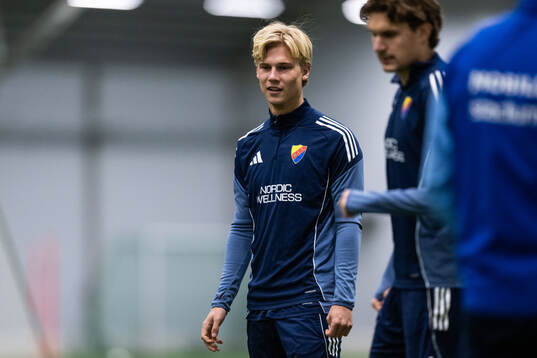 Theo Bergvall