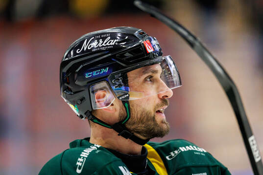Under ishockeymatchen i Hockeyallsvenskan mellan Östersund