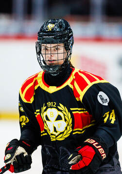 Brynäs Sara Cajanova