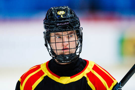 Brynäs Anna Andersson