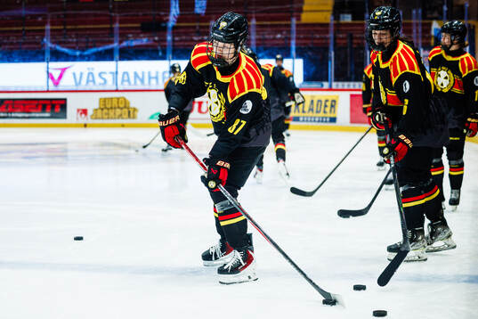 Brynäs Anna Brenkle