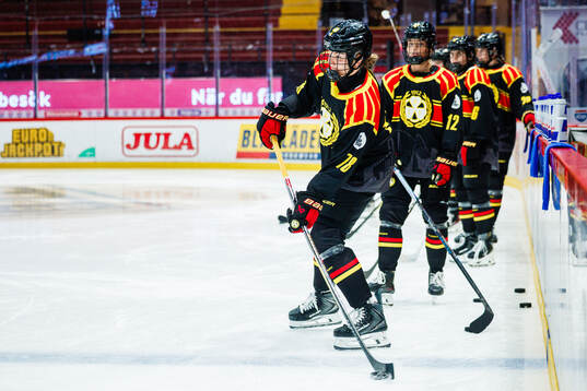 Brynäs Elin Svensson
