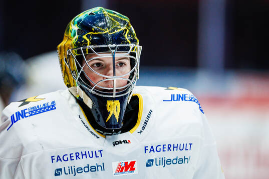 HV71s målvakt Sofie Van Dueren