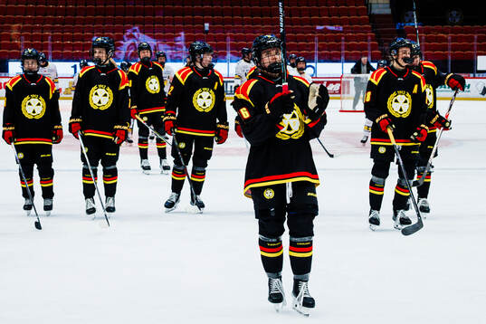 Brynäs spelare jublar