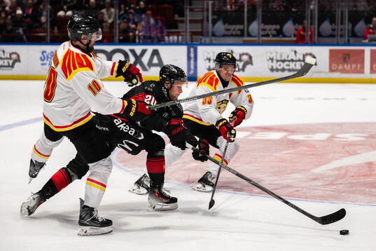 Malmö Redhawks Thomas Berg Paulsen