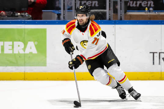 Brynäs Axel Jonsson-Fjällby