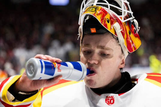 Brynäs målvakt Erik Källgren