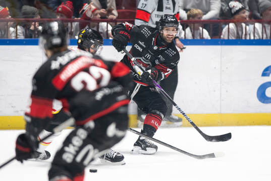 Malmö Redhawks Robin Hanzl