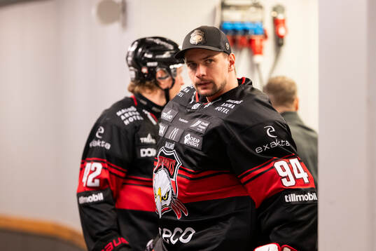 Malmö Redhawks målvakt Marek Langhamer