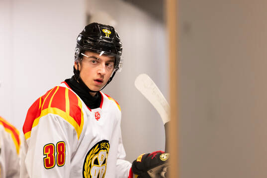 Brynäs Gustav Hillström