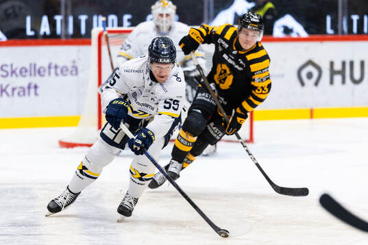 HV71s Andreas Borgman och Skellefteås Zeb Forsfjäll