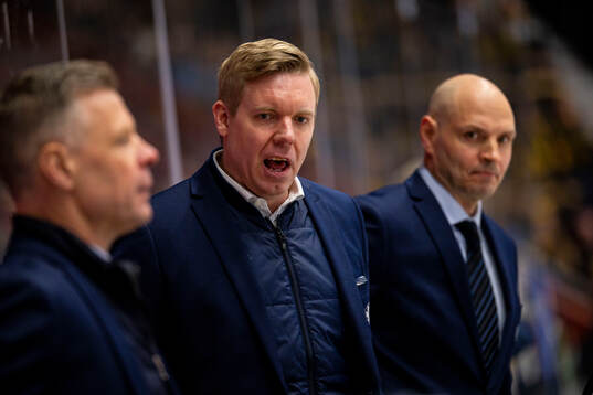 HV71s tränare Anton Blomqvist