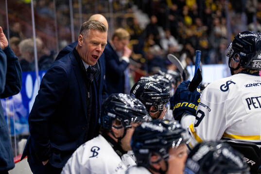 HV71s assisterande tränare Nicklas Rahm