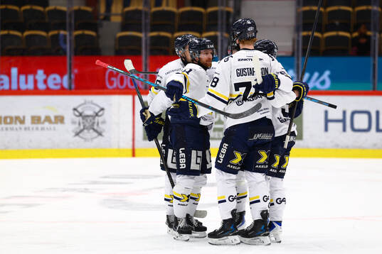 Spelare ur HV71 jublar