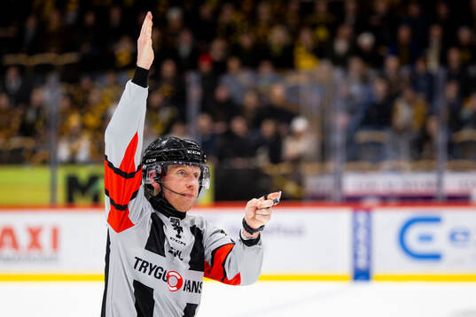Domare Mikael Holm