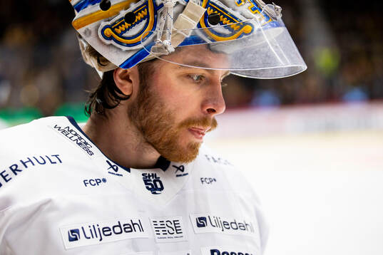 HV71s målvakt Felix Sandström