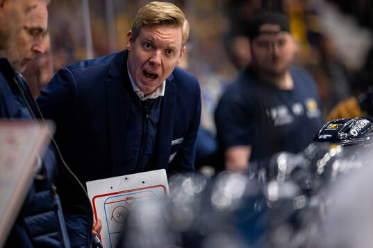 HV71s tränare Anton Blomqvist