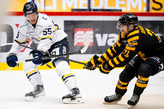 HV71s Andreas Borgman