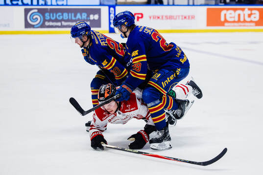 Djurgårdens Mathias Emilio Pettersen och Håvard Salsten