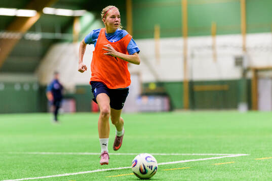 Tilde Wahlgren