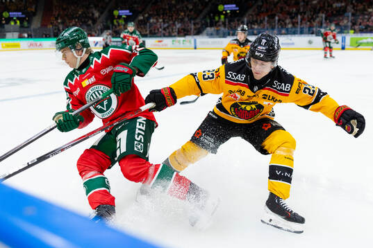 Frölundas Theodor Niederbach och Luleås Jesper Sellgren
