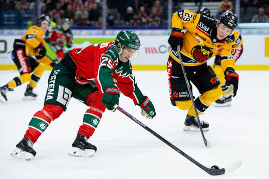 Frölundas Arttu Ruotsalainen och Luleås Erik Gustafsson