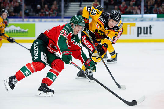 Frölundas Arttu Ruotsalainen och Luleås Erik Gustafsson