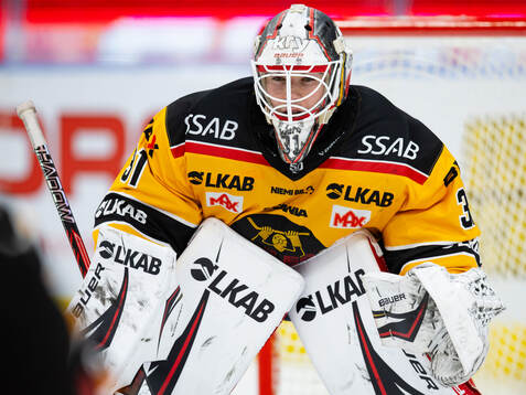 Luleås målvakt Matteus Ward