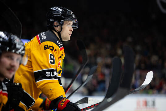 Luleås Heikki Liedes