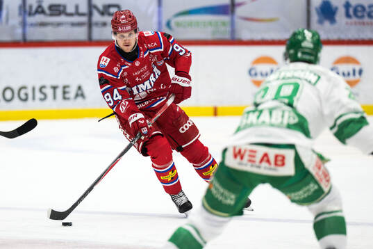 Timrås Sebastian Hartmann