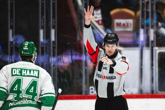 Domaren Oscar Niklasson