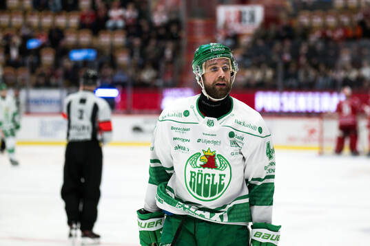 Rögles Gregor Biber deppar