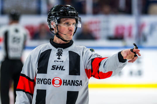 Domare Stefan Leijonklo