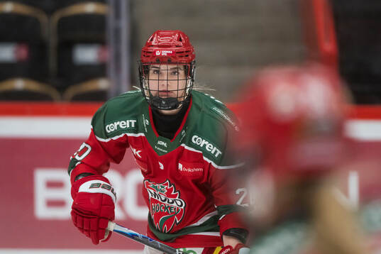 Bläddra bland fler bilder av Ishockey, SDHL, Modo - HV71