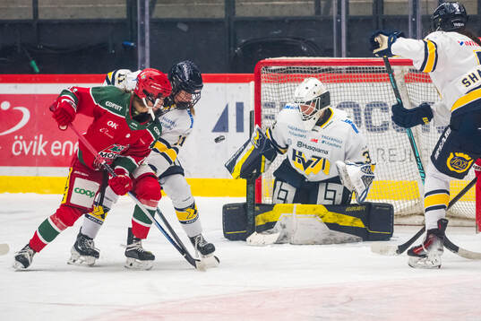 HV71s målvakt Amanda Johansson innan 1-2 målet