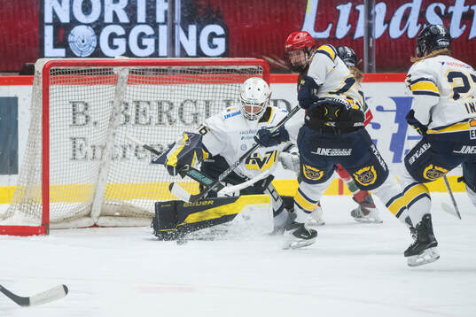 HV71s målvakt Amanda Johansson