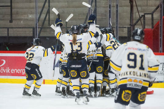 HV71s spelare jublar över vinsten