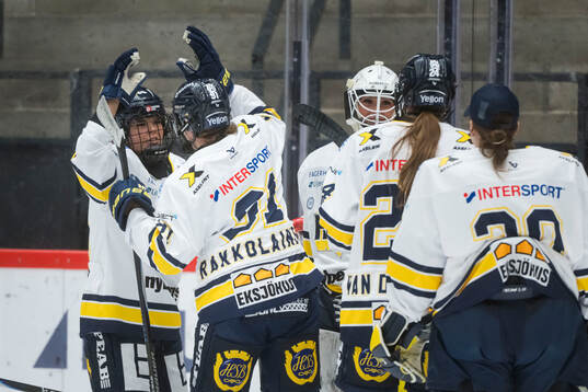 HV71s spelare jublar