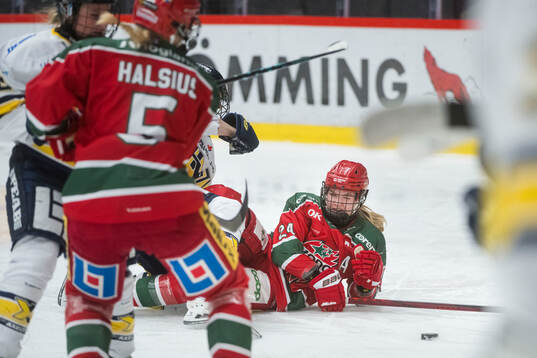 Modos Ebba Hedqvist