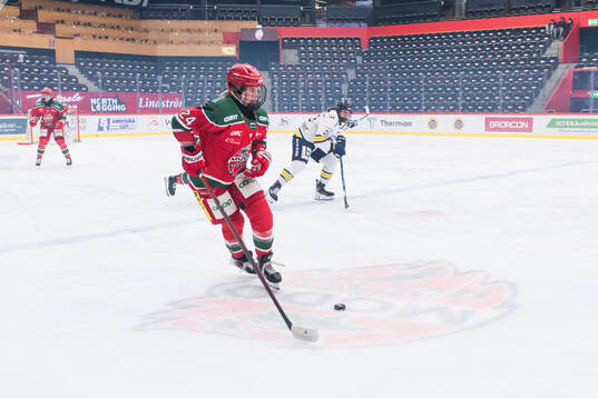Modos Ebba Hedqvist