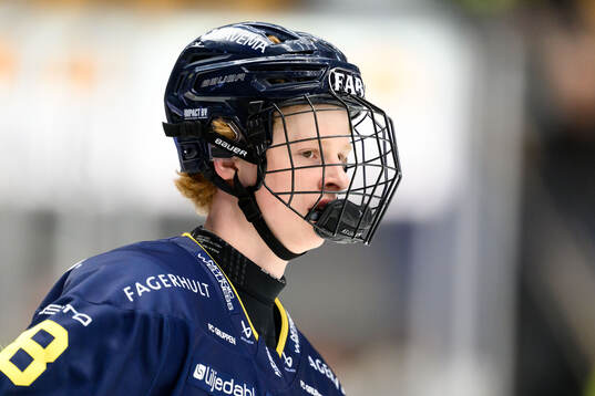 HV71s Malte Gustafsson