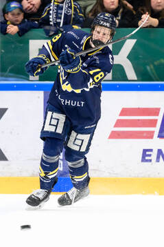 HV71s Malte Gustafsson