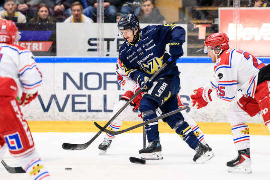 HV71s Axel Rindell