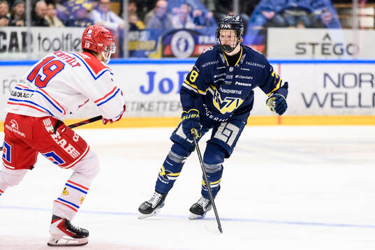 HV71s Malte Gustafsson