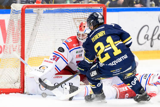 Timrås målvakt Tim Juel och HV71s Mattias Tedenby