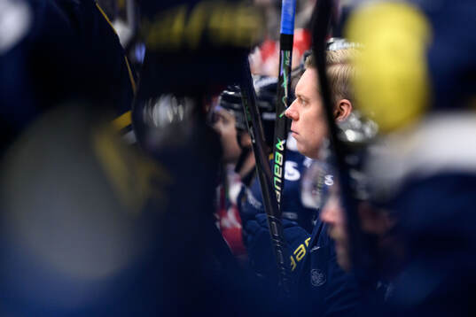 HV71s tränare Anton Blomqvist