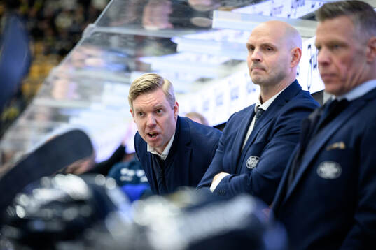 HV71s tränare Anton Blomqvist