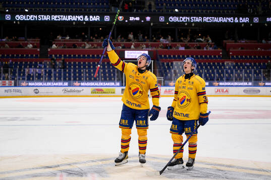 Bläddra bland fler bilder av Ishockey, SHL, Färjestad - Djurgården
