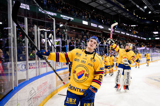 Djurgårdens Håvard Salsten jublar